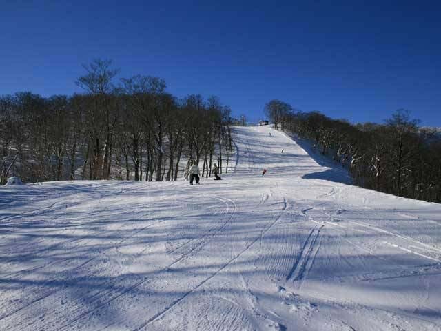 オニコウベスキー場