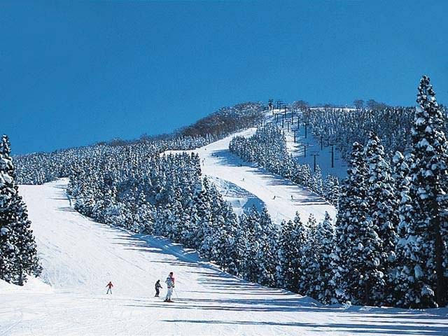 スキージャム勝山
